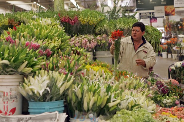 Flower Power